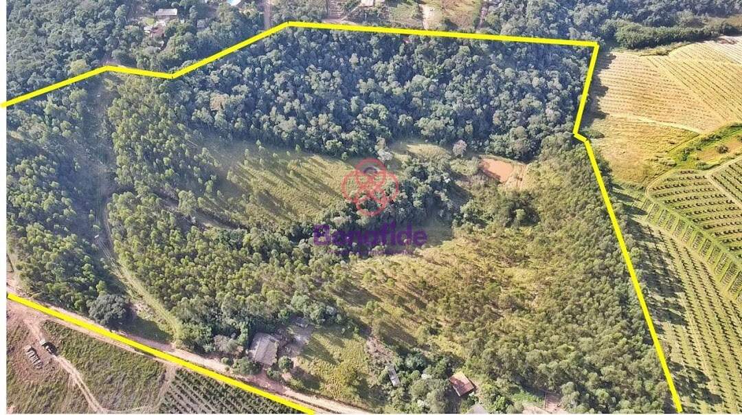 Sítio à venda no Roseira: 