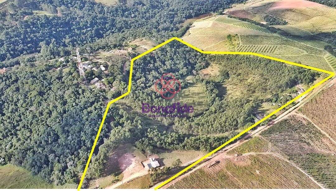 Sítio à venda no Roseira: 