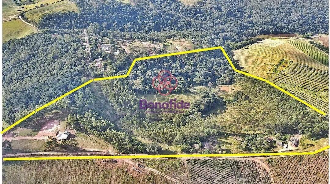 Sítio à venda no Roseira: 