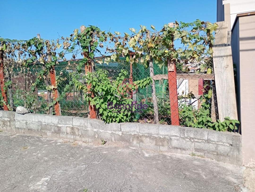 Terreno à venda no Cidade Nova: 