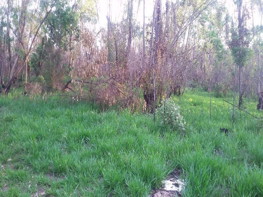 Terreno à venda no Pinhal: 