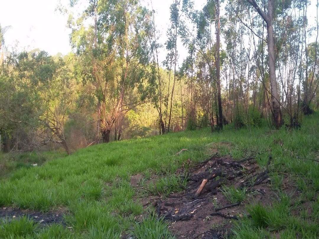 Terreno à venda no Pinhal: 