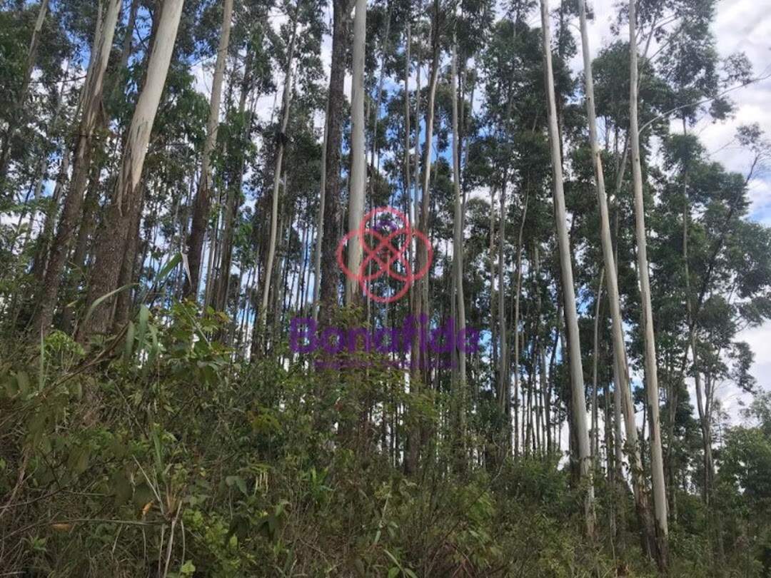 Área à venda no Jardim Santa Gertrudes: 