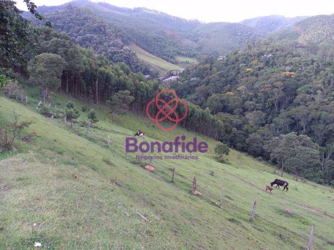 Rancho à venda no Centro: 