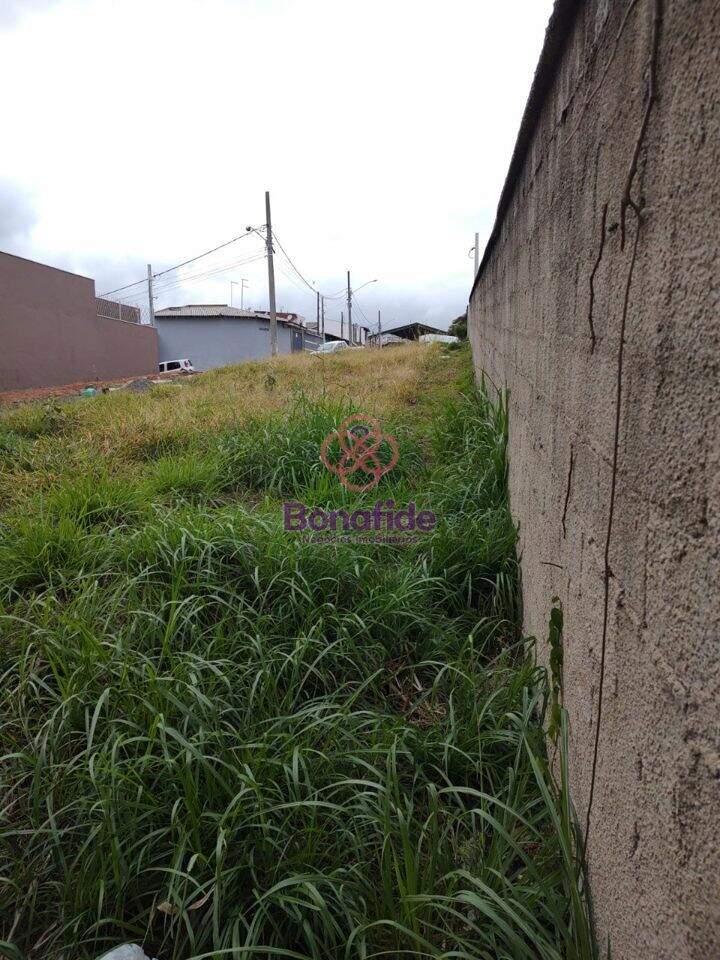 Terreno à venda no Vila Marlene: 