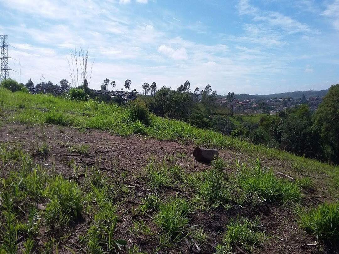 Terreno à venda no Chácaras Santa Martha: 