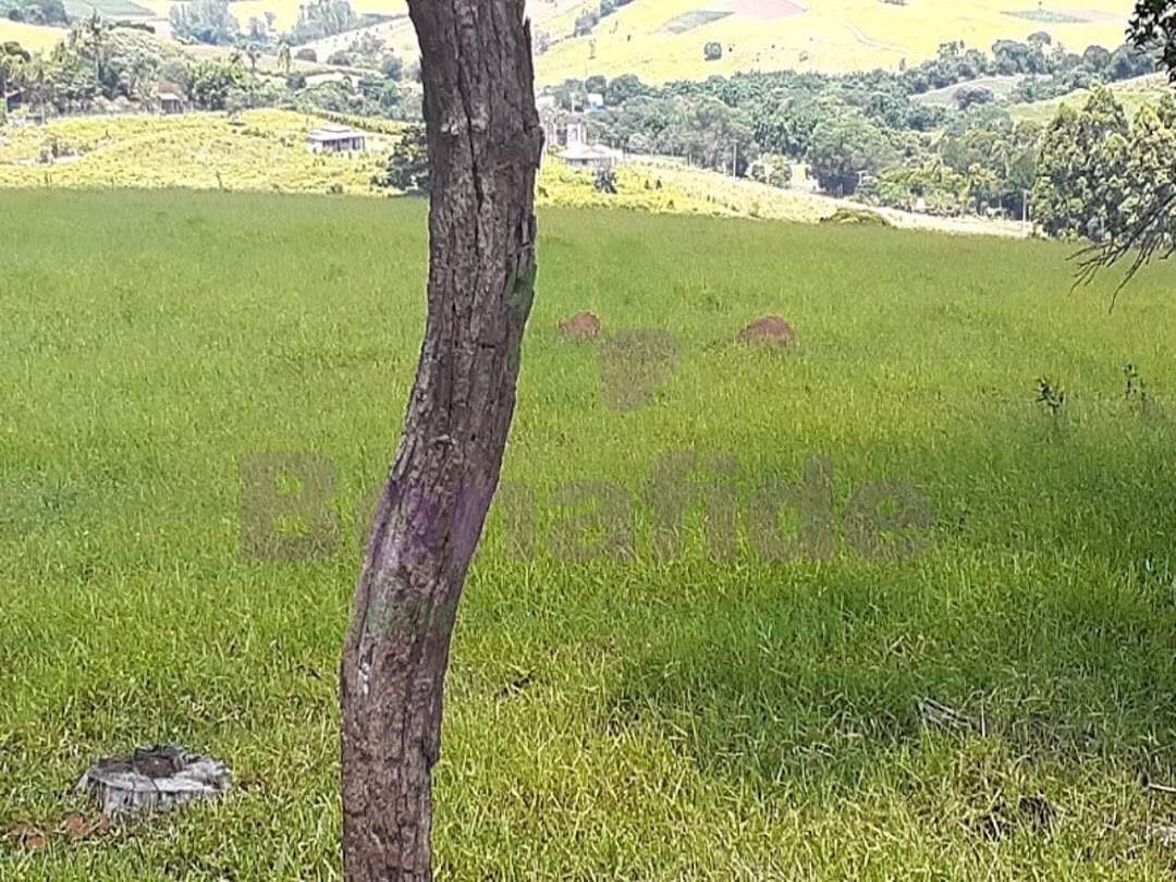 Área à venda no Ponte Alta: 