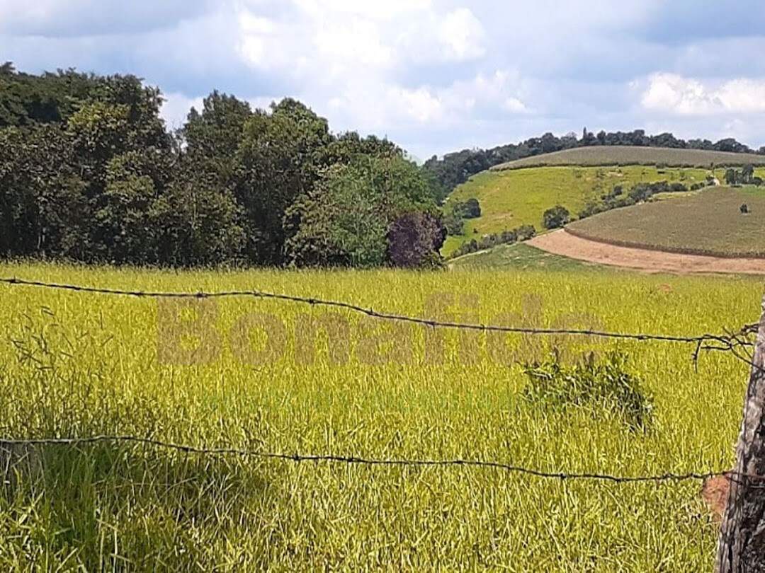 Área à venda no Ponte Alta: 
