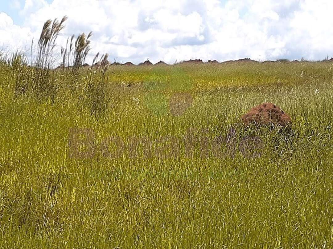 Área à venda no Ponte Alta: 