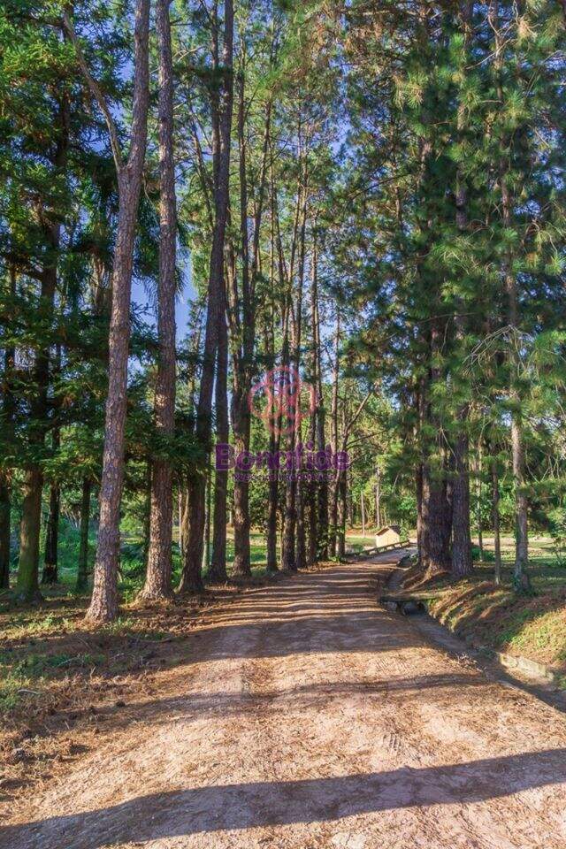 Sítio à venda no Jardim Santa Gertrudes: 