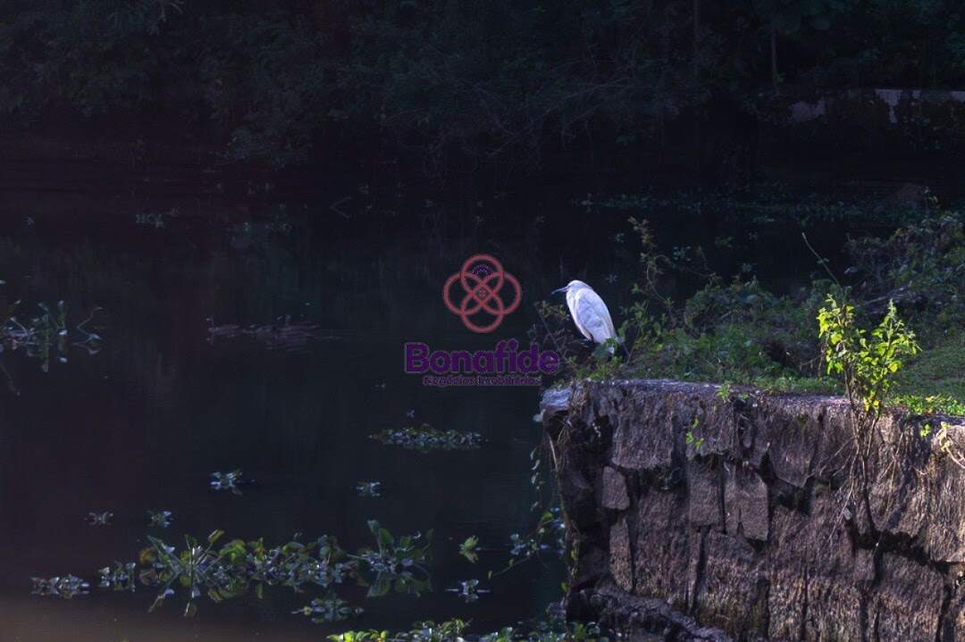 Sítio à venda no Jardim Santa Gertrudes: 