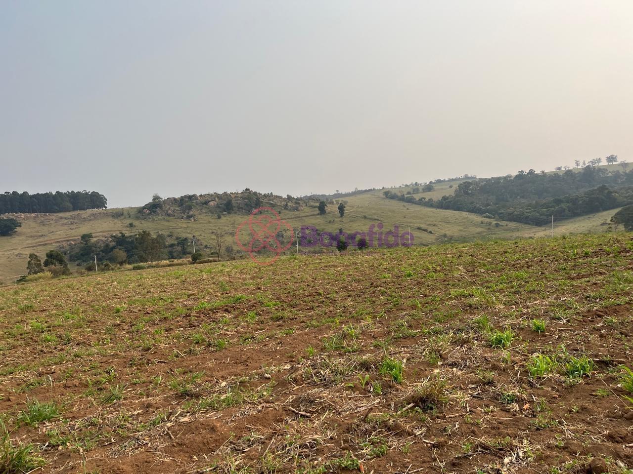 Sítio à venda no Área Rural de Itu: 