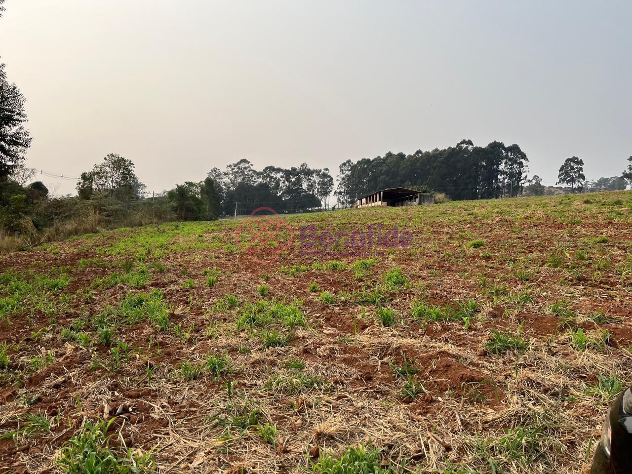 Sítio à venda no Área Rural de Itu: 