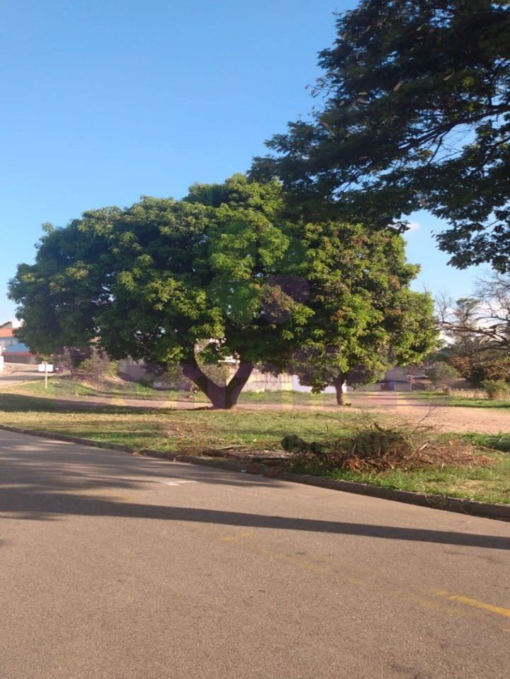 Terreno à venda no Vila Manfredi: 