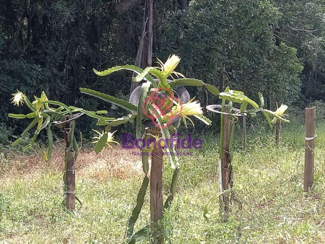 Área à venda no Caxambu: 