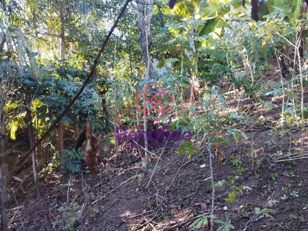 Terreno à venda no Vila Souza: 