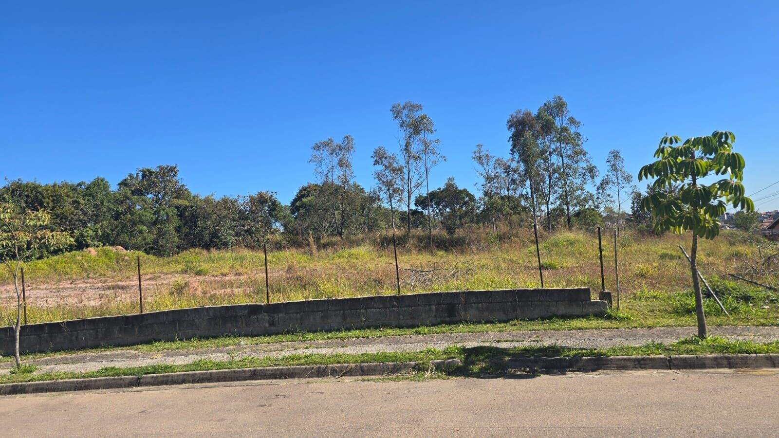 Terreno à venda no Cidade Nova: 