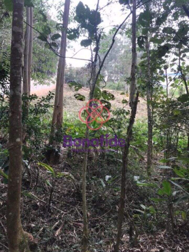 Terreno à venda no Loteamento Capital Ville: 