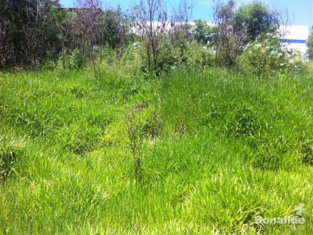 Terreno à venda no Centro: 