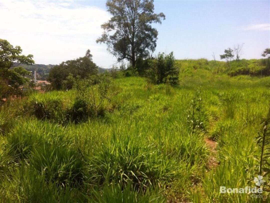 Terreno à venda no Centro: 