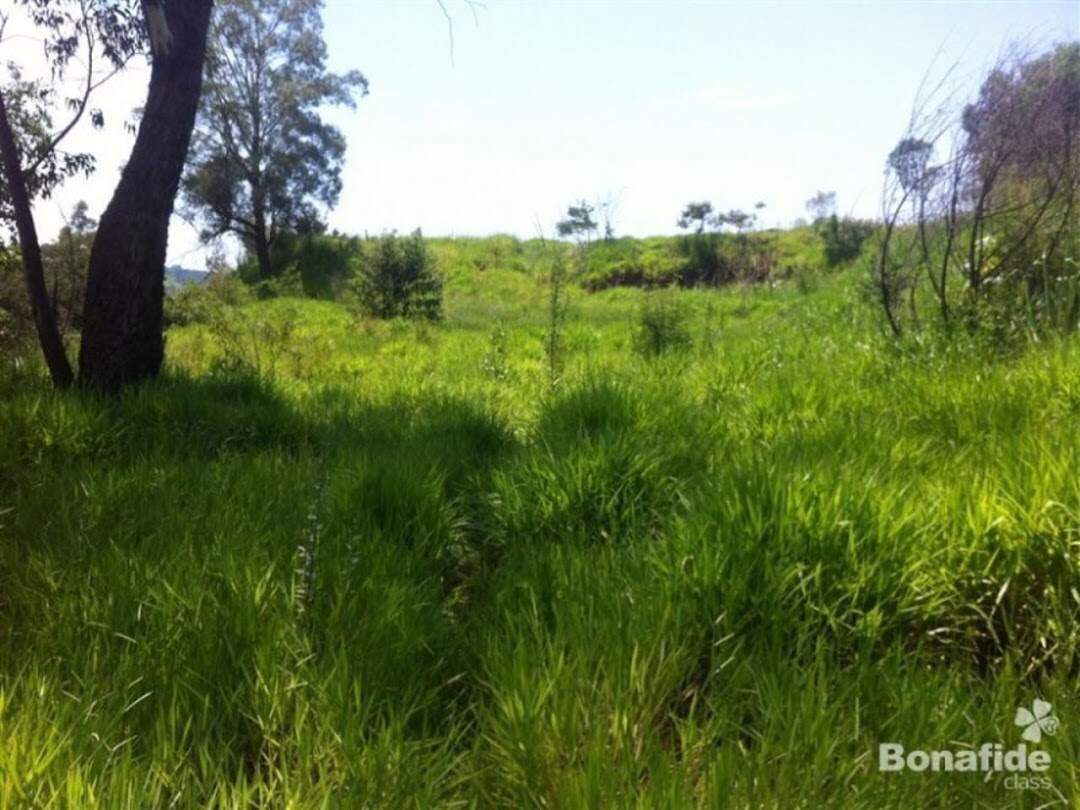 Terreno à venda no Centro: 