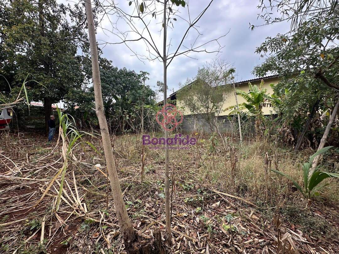 Terreno à venda no Jardim Quintas das Videiras: 