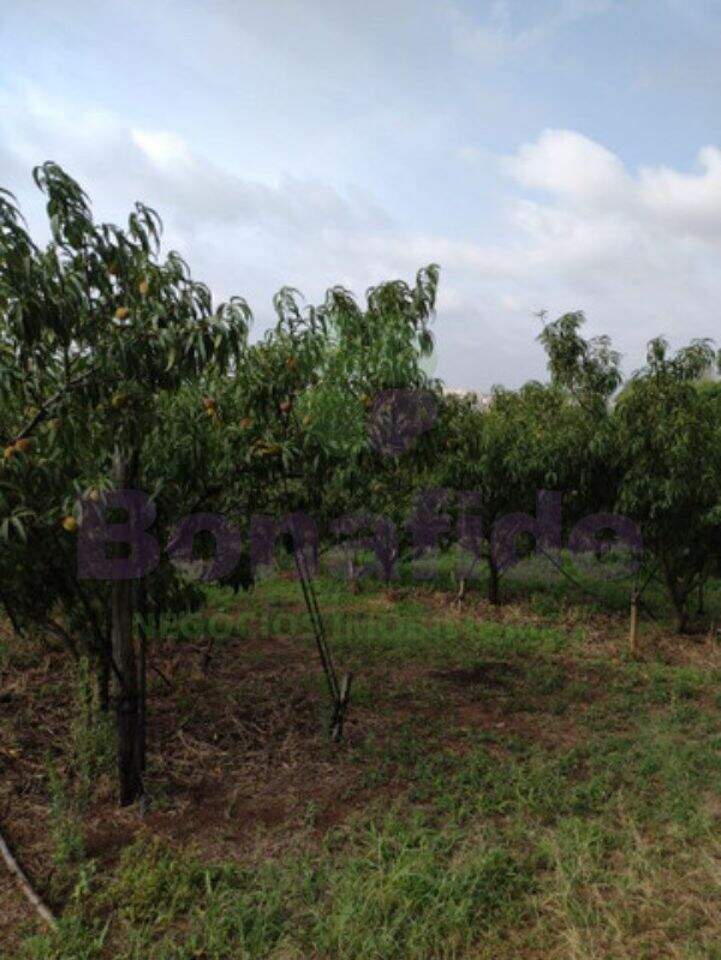 Sítio à venda no Bom Jardim: 