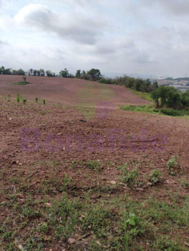 Sítio à venda no Bom Jardim: 