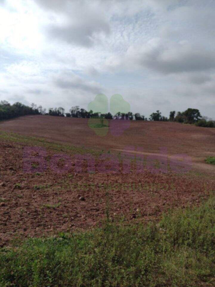 Sítio à venda no Bom Jardim: 
