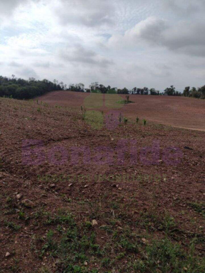 Sítio à venda no Bom Jardim: 