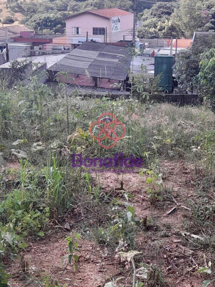 Terreno à venda no Cidade Nova: 