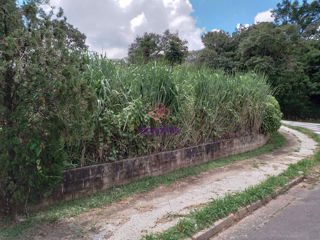 Terreno à venda no Cidade Nova: 