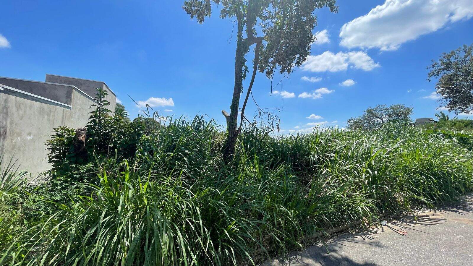 Terreno à venda no Ivoturucaia: 