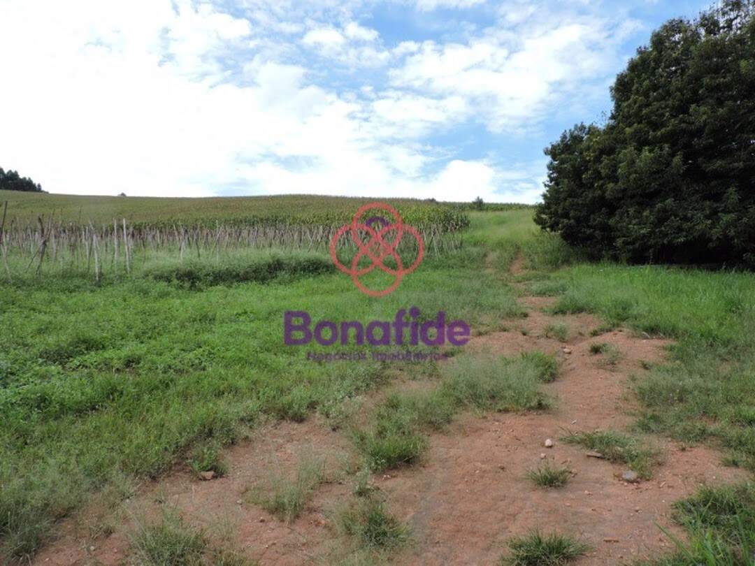 Área à venda no Pitangal: 