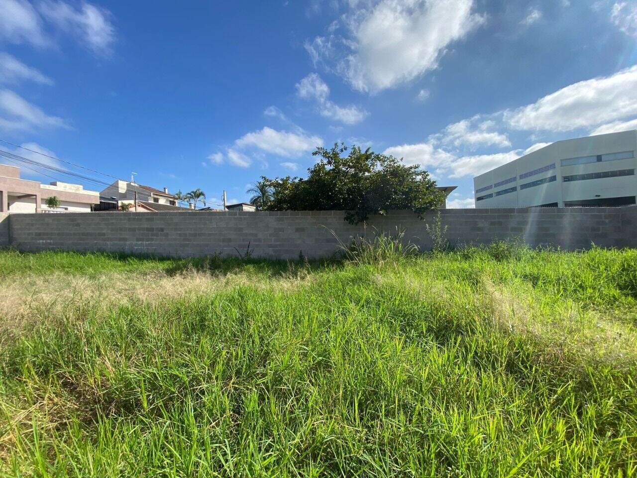 Terreno à venda no Vila Salermo: 