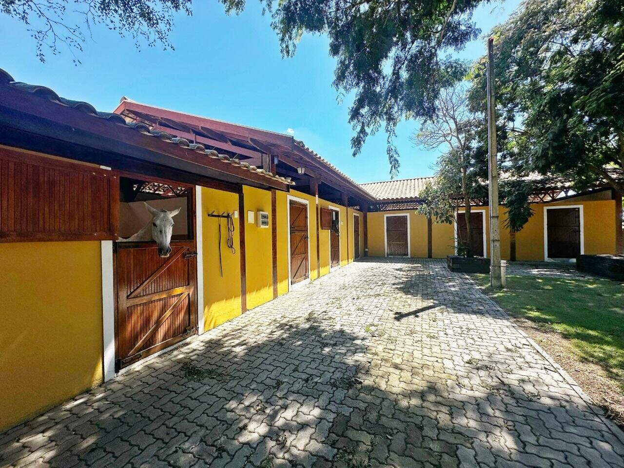 Haras à venda no Encosta do Sol: 