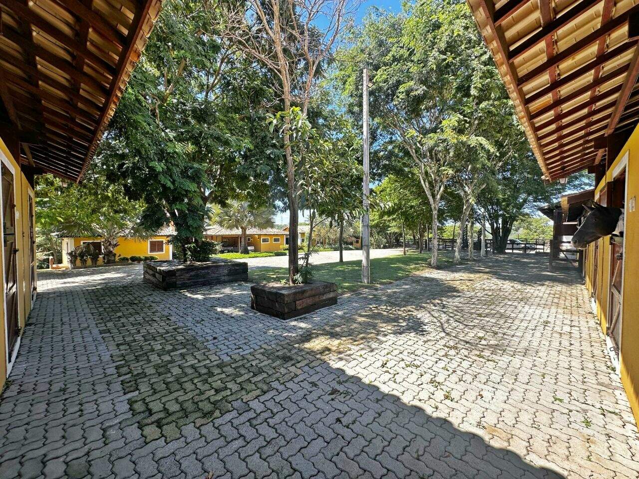 Haras à venda no Encosta do Sol: 