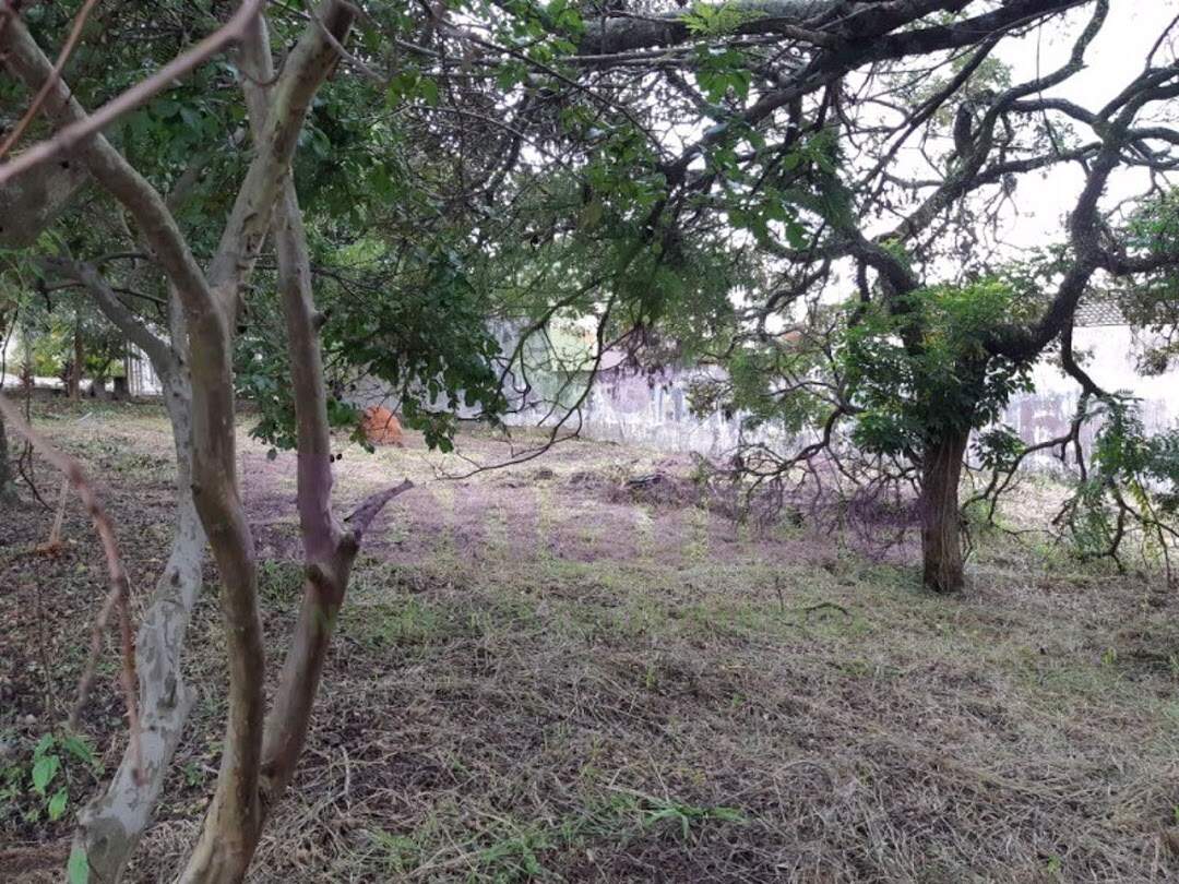 Terreno à venda no Jardim Dona Donata: 