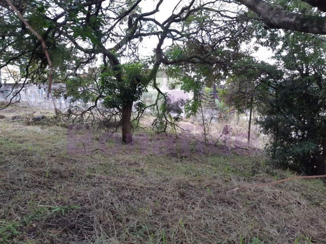 Terreno à venda no Jardim Dona Donata: 