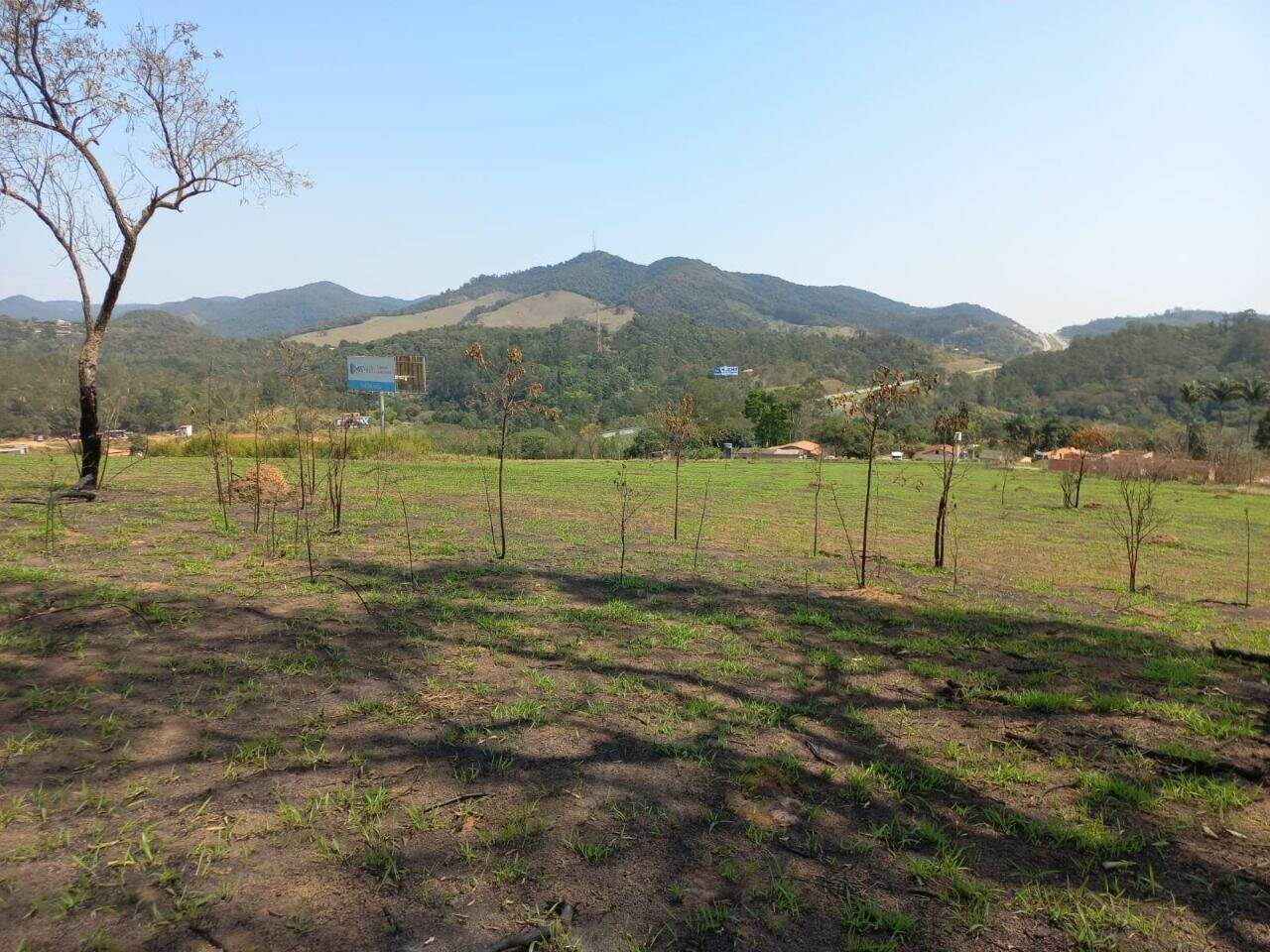 Terreno à venda no Vila Maringá: 