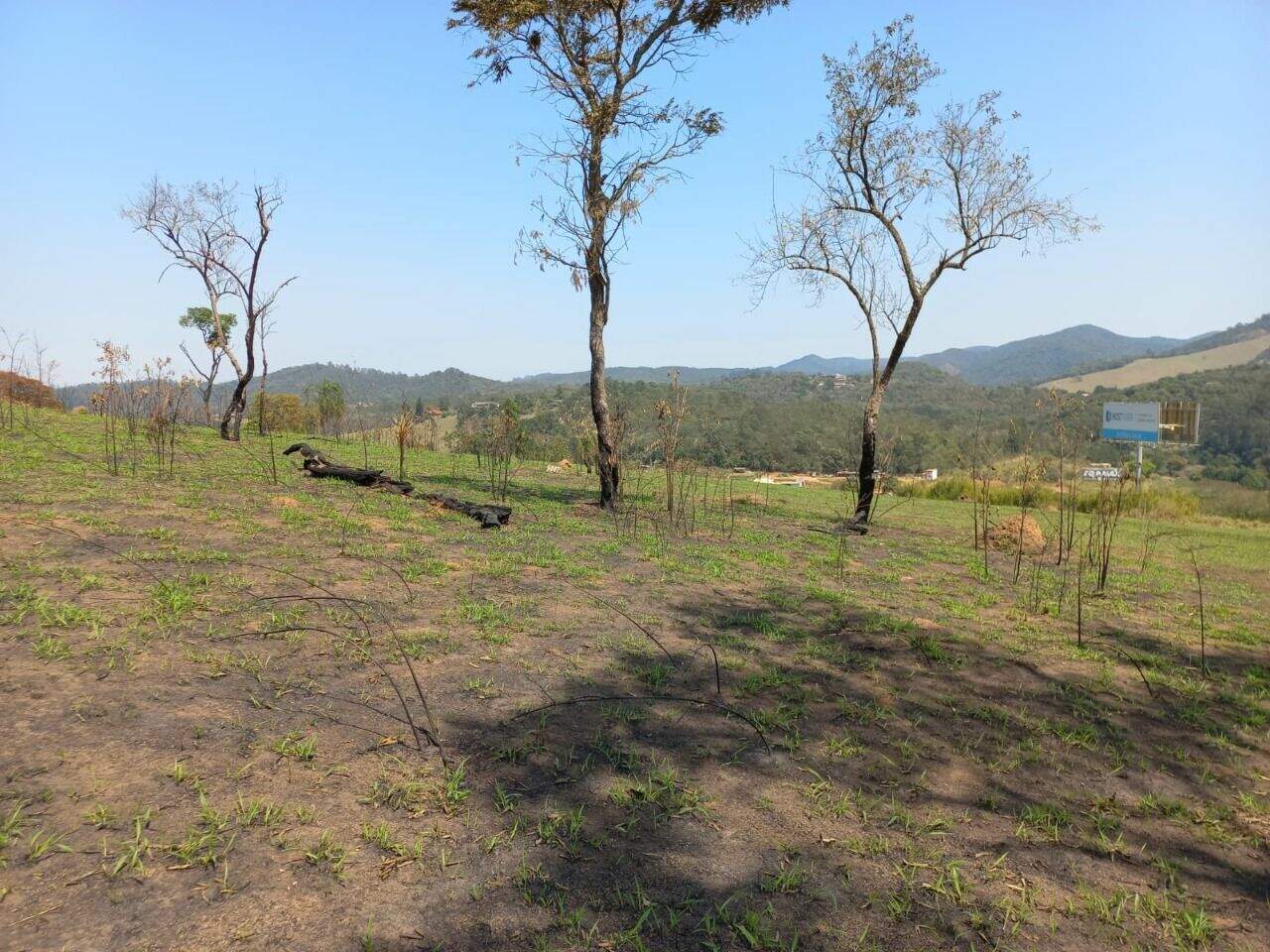 Terreno à venda no Vila Maringá: 