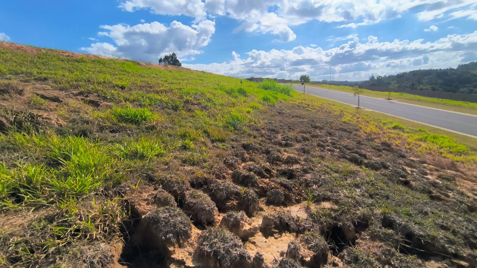Terreno à venda no Ivoturucaia: 