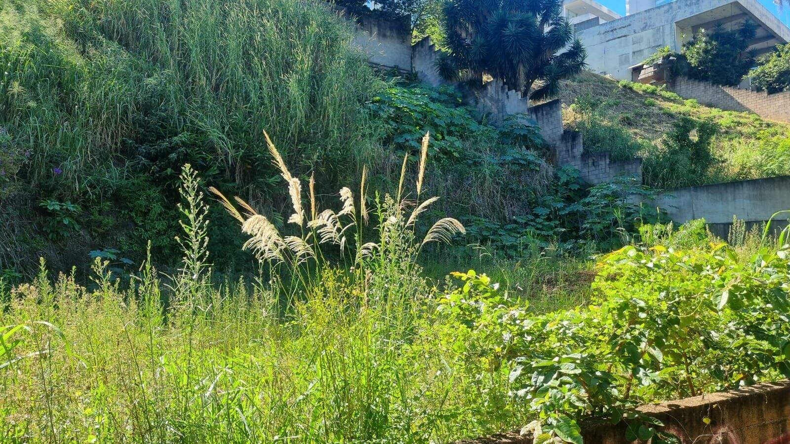 Terreno à venda no Jardim Brasil: 