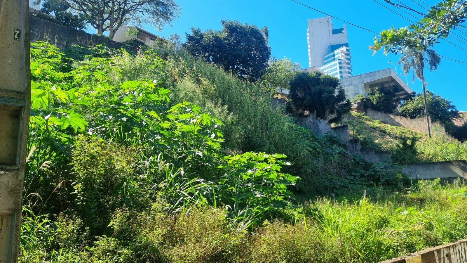 Terreno à venda no Jardim Brasil: 