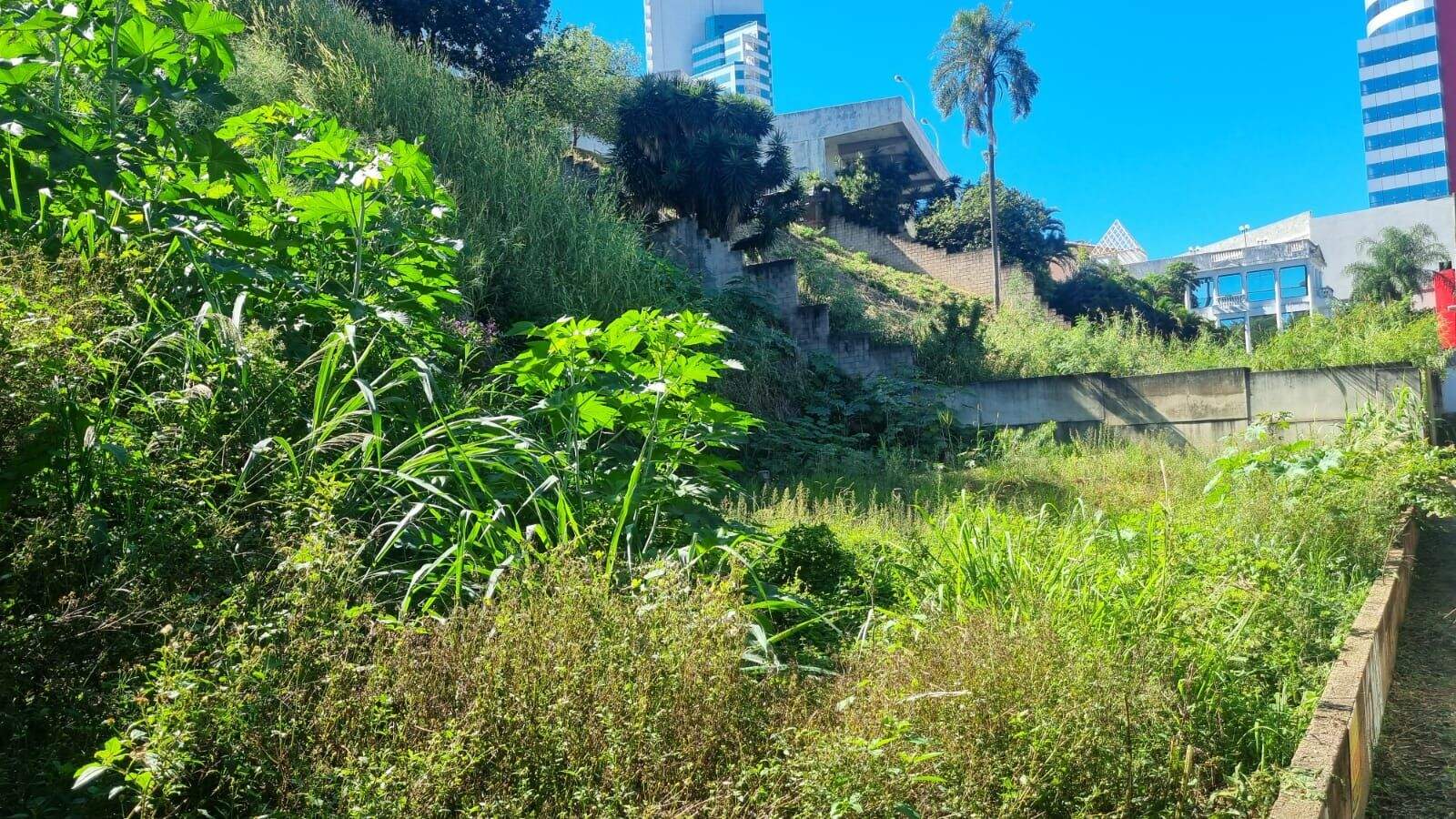Terreno à venda no Jardim Brasil: 