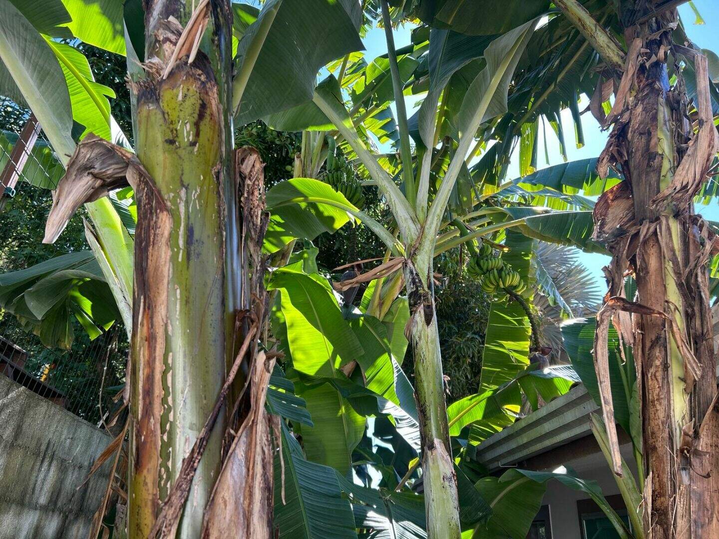 Casa à venda no Condomínio Estância Marambaia: 