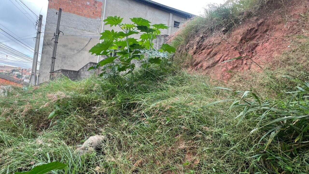 Terreno à venda no Jardim América II: 