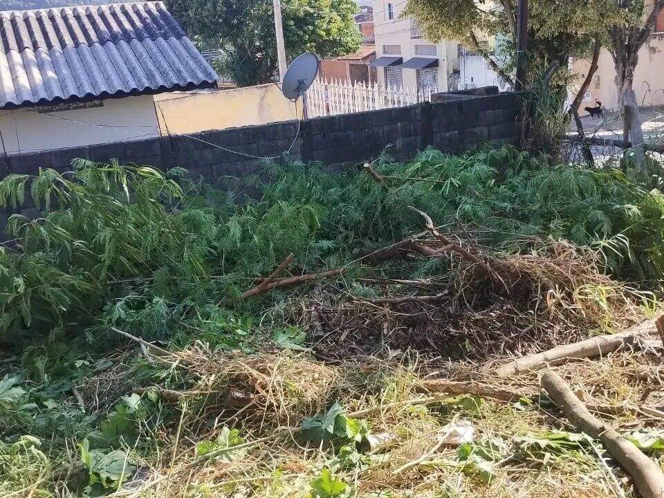 Terreno à venda no Jardim Europa: 