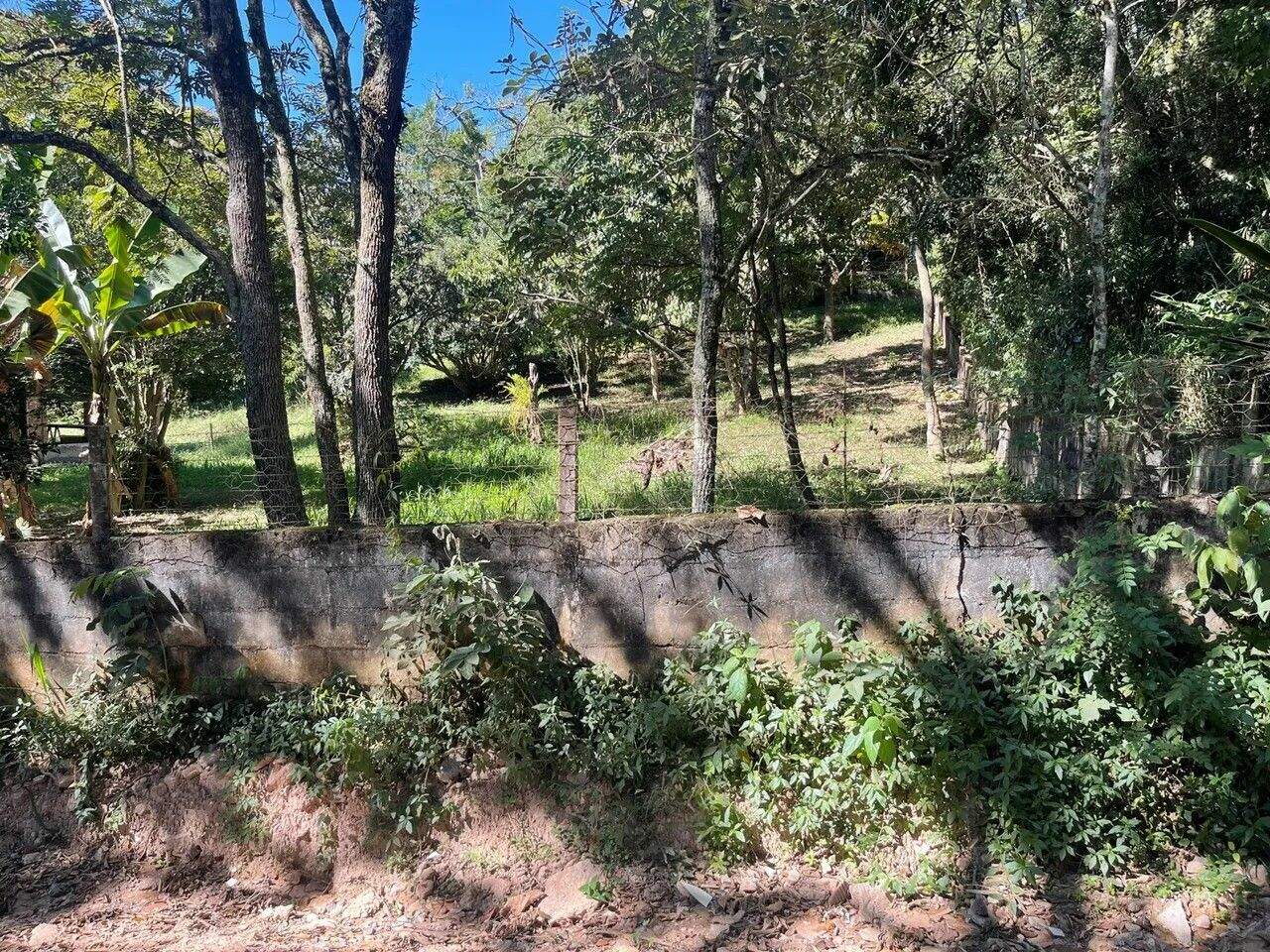 Terreno à venda no Jardim Europa: 