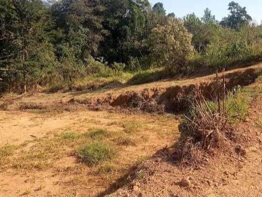 Terreno à venda no Pau Arcado: 